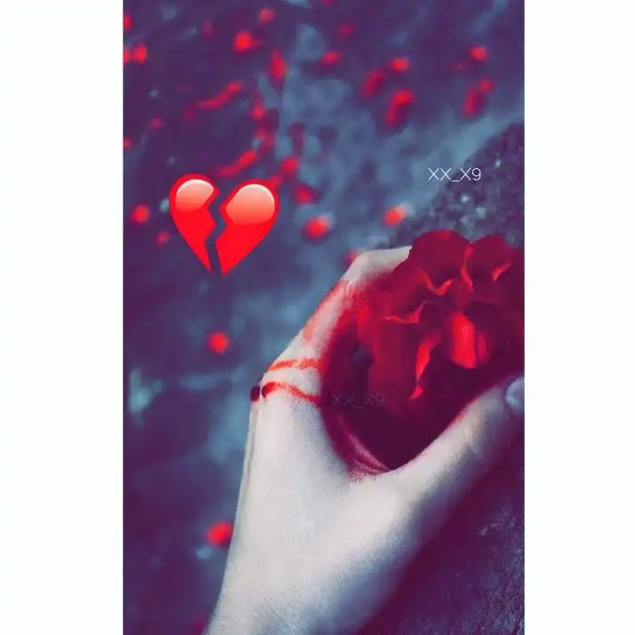rain rose whatsapp dp rain rose whatsapp dp
